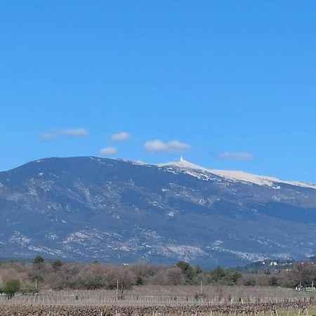 Вілла Mon Ventoux Modene Екстер'єр фото